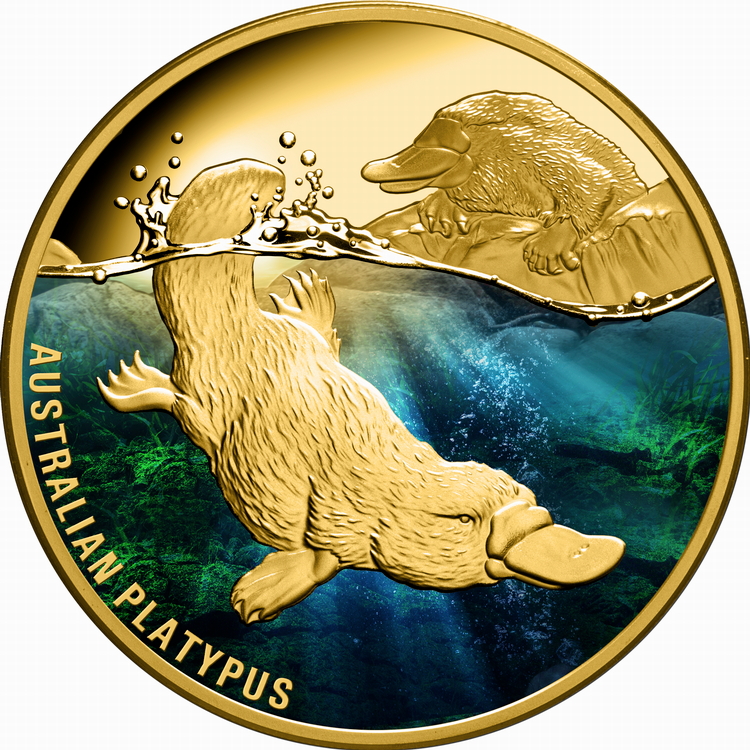 Niue_2022_Duck-Billed_Platypus_$100_1_Troy_Ounce_Pure_Gold_Proof_with_Color_MINTAGE_150