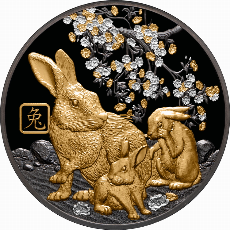 Solomon_Islands_2023_Lunar_Year_of_the_Rabbit_$10_5_Troy_Oz_Pure_Silver_Black_Proof_with_24-Karat_Gold_Plating_MINTAGE_888