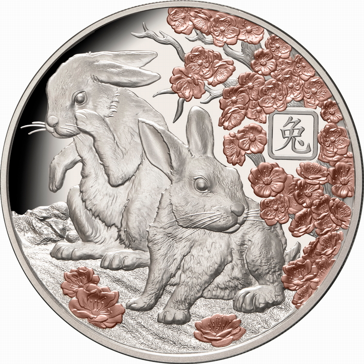 Solomon_Islands_2023_Lunar_Year_of_the_Rabbit_$5_1_Troy_Oz_Pure_Silver_Proof_with_Rose_Gold_Plating_MINTAGE_888