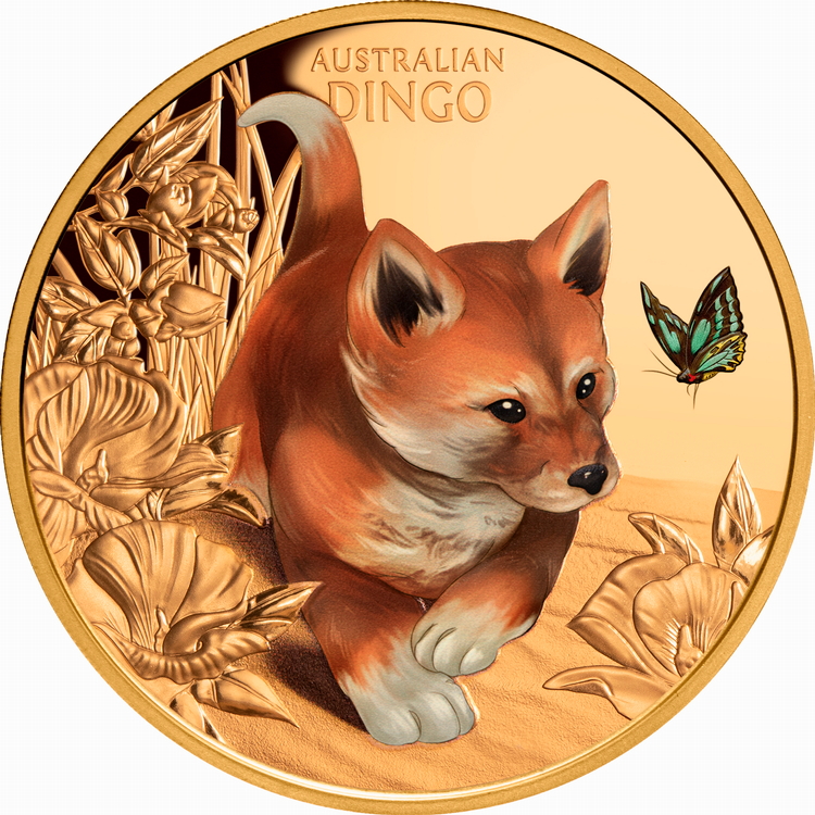 Niue_2024_Cute_and_Cuddly_1_Baby_Dingo_Pup_$100_1_Troy_Ounce_Pure_Gold_Proof_with_Color_MINTAGE_99