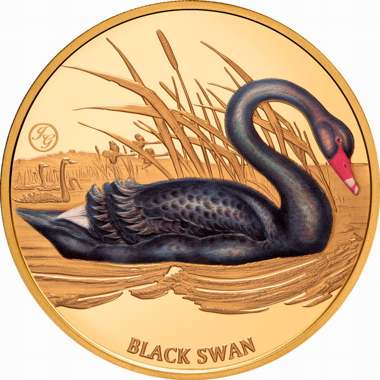 Niue_2026_Birds_of_Australia_Black_Swan_John_Gould_$100_1_Troy_Oz_Pure_Silver_Proof_with_Color_MINTAGE_50 Niue_2026_Birds_of_Australia_Black_Swan_John_Gould_$100_1_Troy_Oz_Pure_Silver_Proof_with_Color_MINTAGE_50